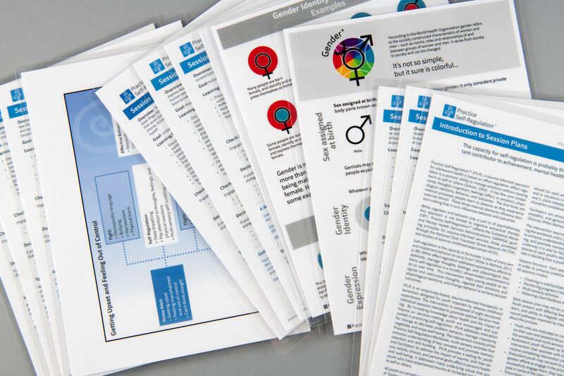 PS-R-sessionplans-B resource image