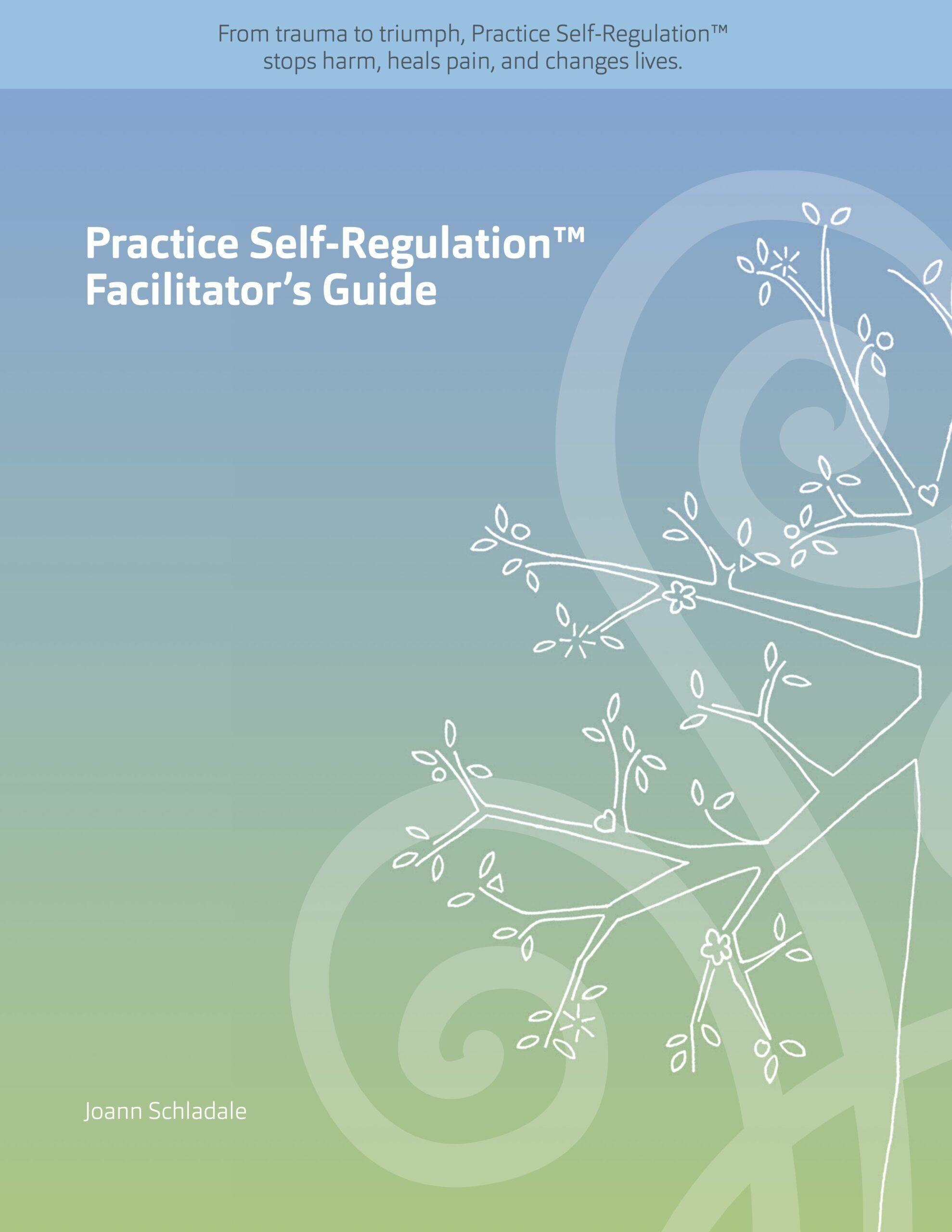 Practice Self-Regulation Facilitator’s Guide